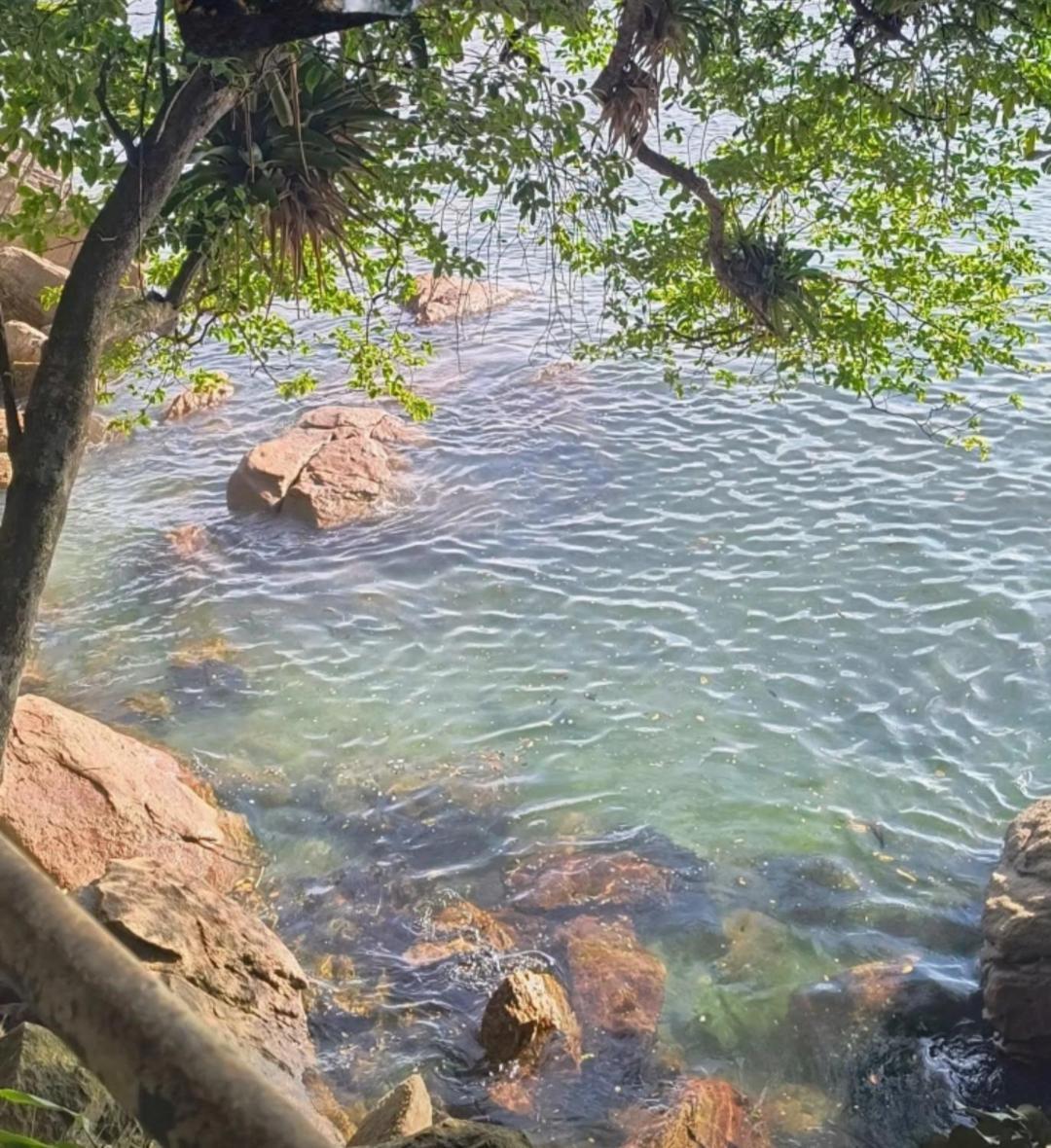 Apartmán Pe Na Areia Prainha - Pedra Do Jacare Caraguatatuba Exteriér fotografie